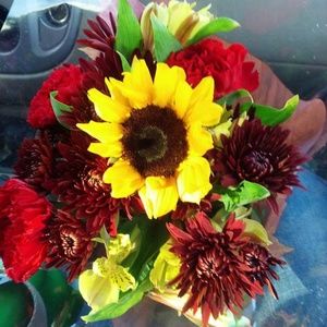 Meet your Posher, Eva